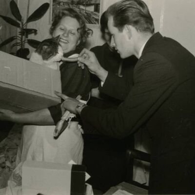 Reimer H&ouml;rster mit Familie