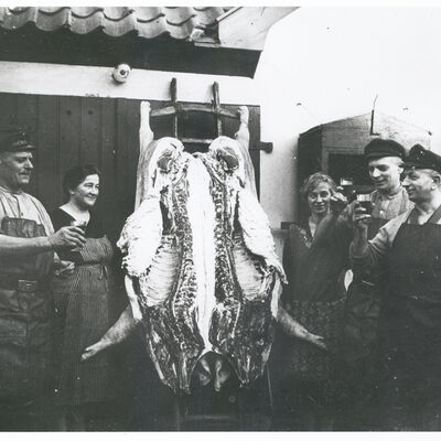 Schweinestall