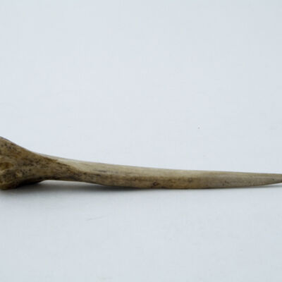 A-1096 Knochenpfriem