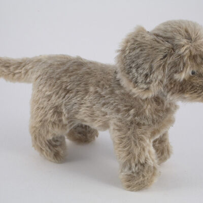 2009-0148 Hund